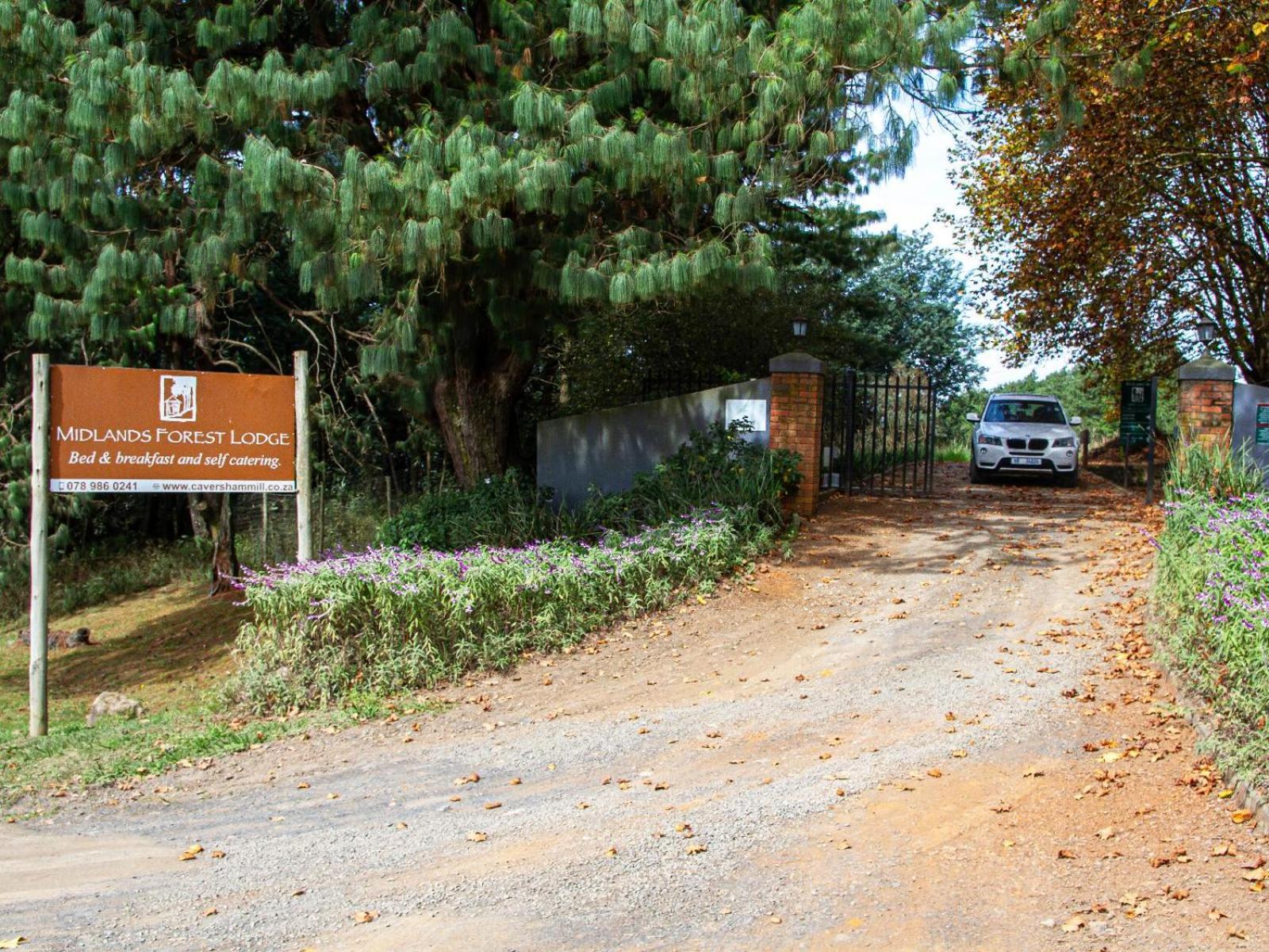 Midlands Forest Lodge Balgowan Экстерьер фото